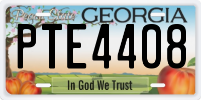 GA license plate PTE4408
