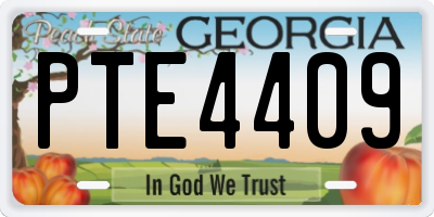 GA license plate PTE4409