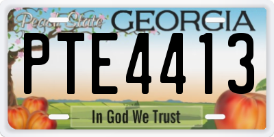 GA license plate PTE4413