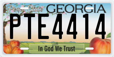 GA license plate PTE4414