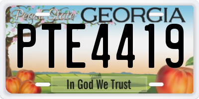 GA license plate PTE4419