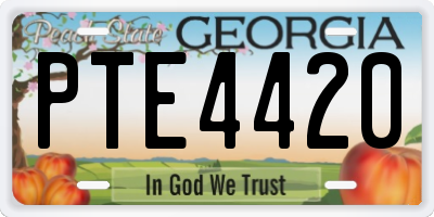 GA license plate PTE4420