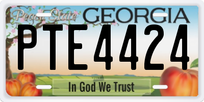 GA license plate PTE4424