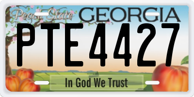 GA license plate PTE4427