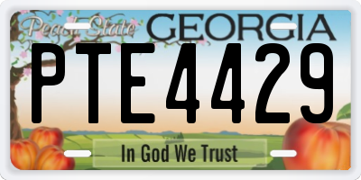 GA license plate PTE4429
