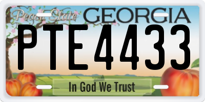 GA license plate PTE4433