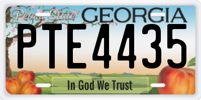 GA license plate PTE4435