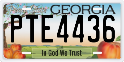 GA license plate PTE4436