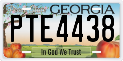 GA license plate PTE4438