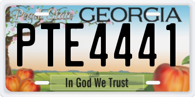 GA license plate PTE4441