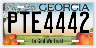 GA license plate PTE4442