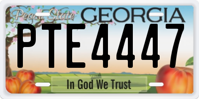 GA license plate PTE4447
