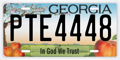 GA license plate PTE4448