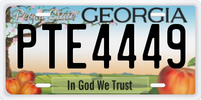 GA license plate PTE4449