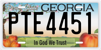 GA license plate PTE4451