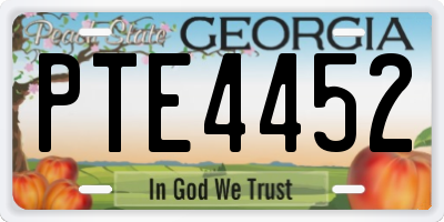 GA license plate PTE4452
