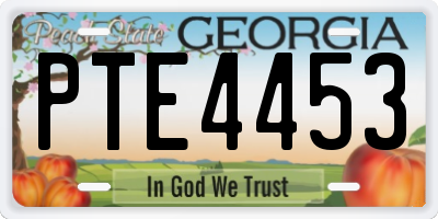 GA license plate PTE4453