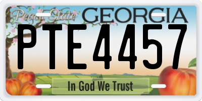 GA license plate PTE4457