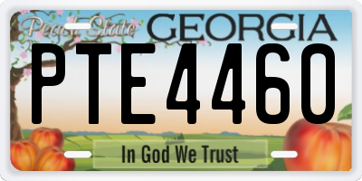 GA license plate PTE4460