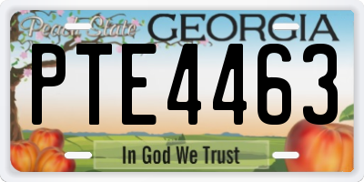 GA license plate PTE4463