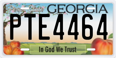 GA license plate PTE4464