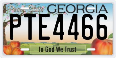 GA license plate PTE4466