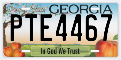 GA license plate PTE4467