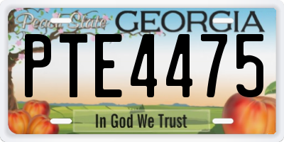 GA license plate PTE4475