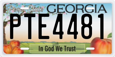 GA license plate PTE4481