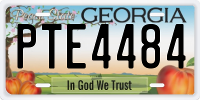 GA license plate PTE4484