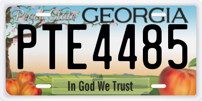 GA license plate PTE4485