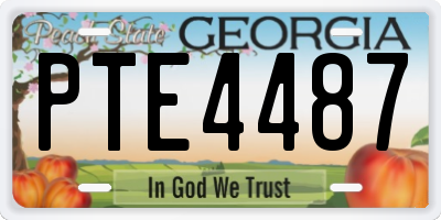 GA license plate PTE4487
