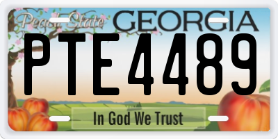 GA license plate PTE4489