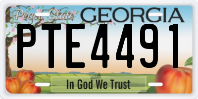 GA license plate PTE4491