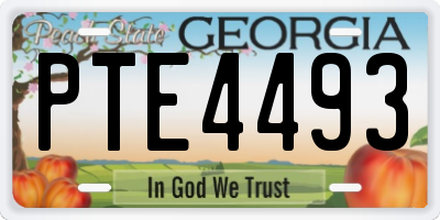 GA license plate PTE4493