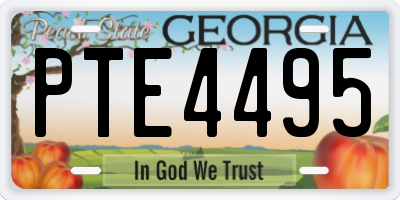 GA license plate PTE4495