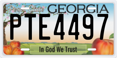 GA license plate PTE4497