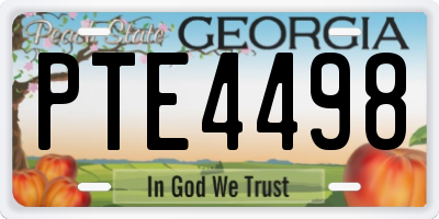 GA license plate PTE4498
