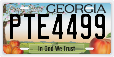 GA license plate PTE4499