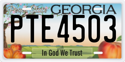 GA license plate PTE4503