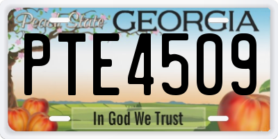 GA license plate PTE4509