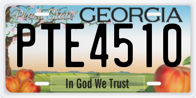 GA license plate PTE4510