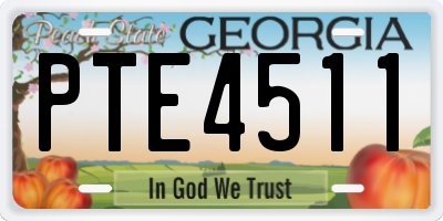 GA license plate PTE4511
