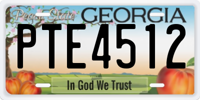 GA license plate PTE4512