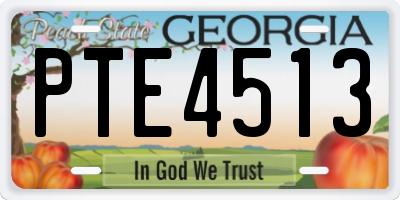 GA license plate PTE4513