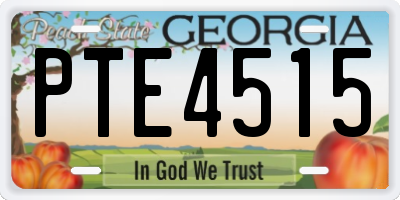 GA license plate PTE4515