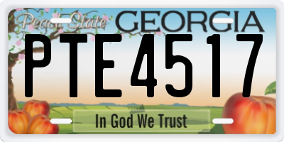 GA license plate PTE4517