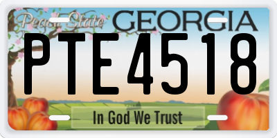GA license plate PTE4518