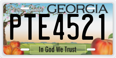 GA license plate PTE4521