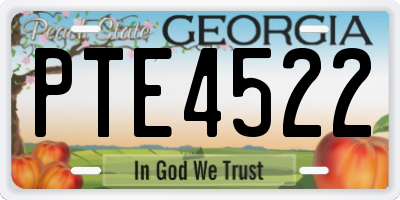 GA license plate PTE4522